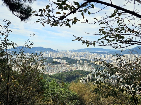윤산푸드 이미지