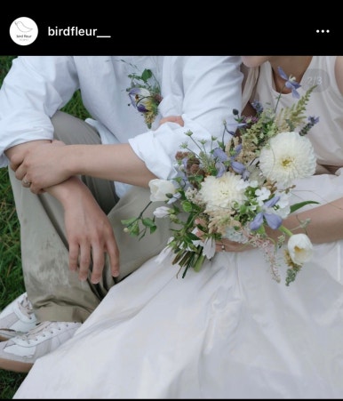 버드플레르 이미지