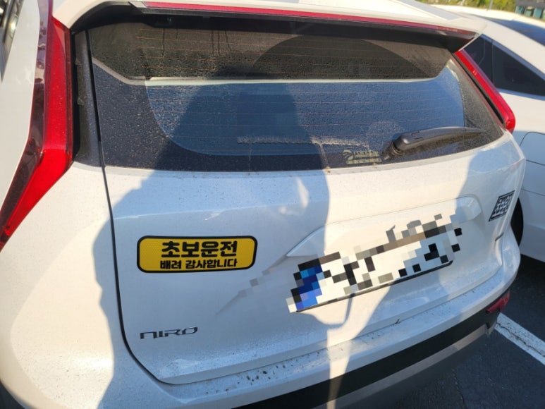 루이네워시존 이미지