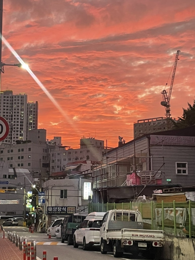 문어의꿈 남악점 이미지