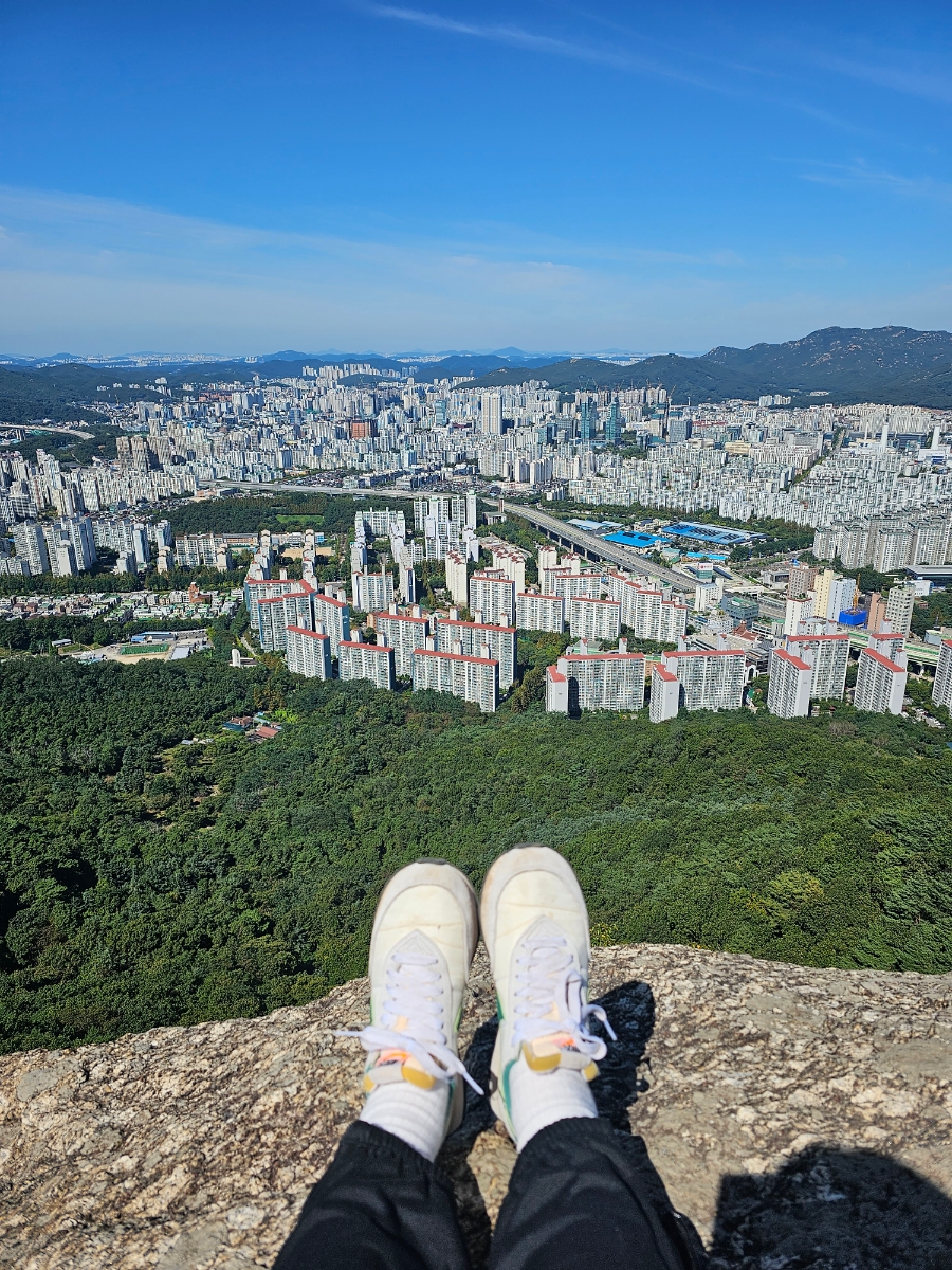 더쉼;효소원 이미지