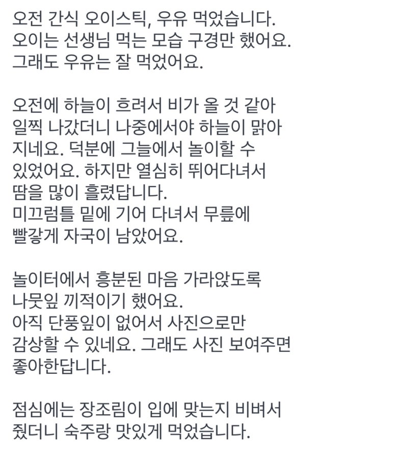 베비텔어린이집 이미지
