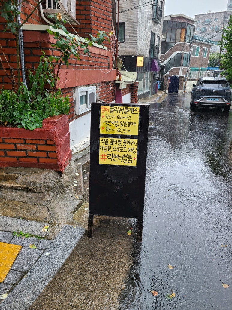 라벤더블룸 이미지