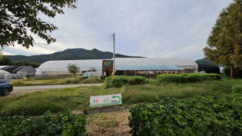 샐러뷰 이미지