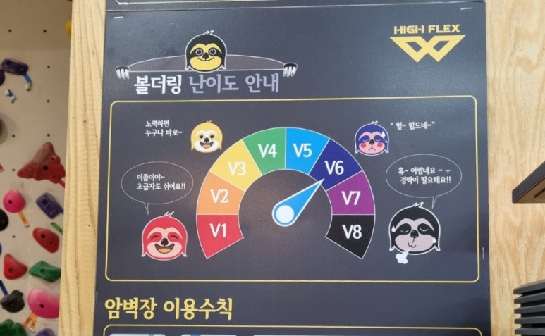 하이프렉스 이미지