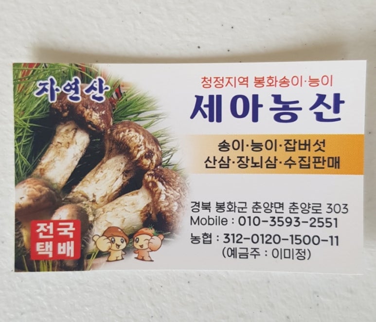 필라이브7080 이미지