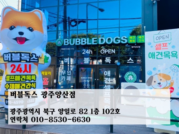 버블독스광주양산점 이미지