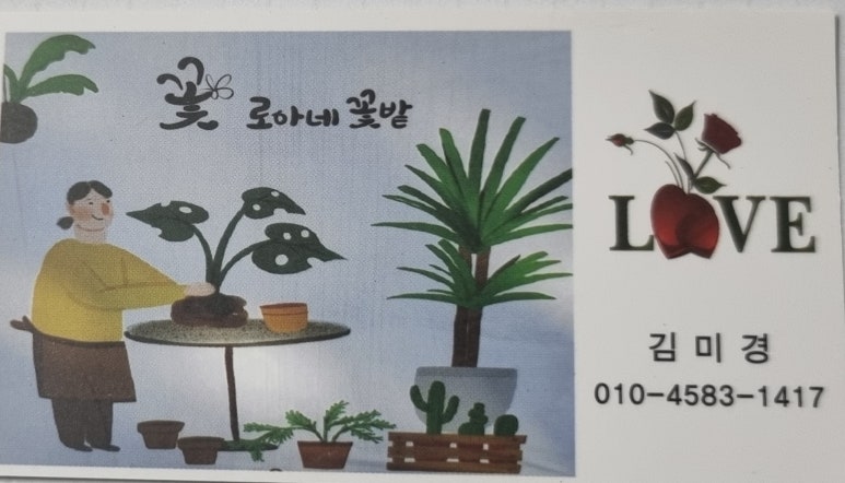 로아네 이미지