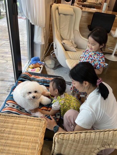 오로지김밥카페 이미지