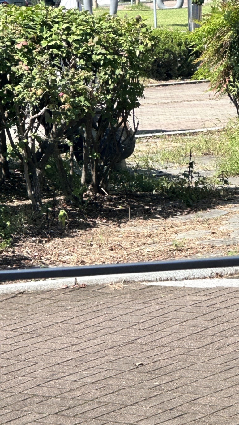 (주)쓰리에프 이미지