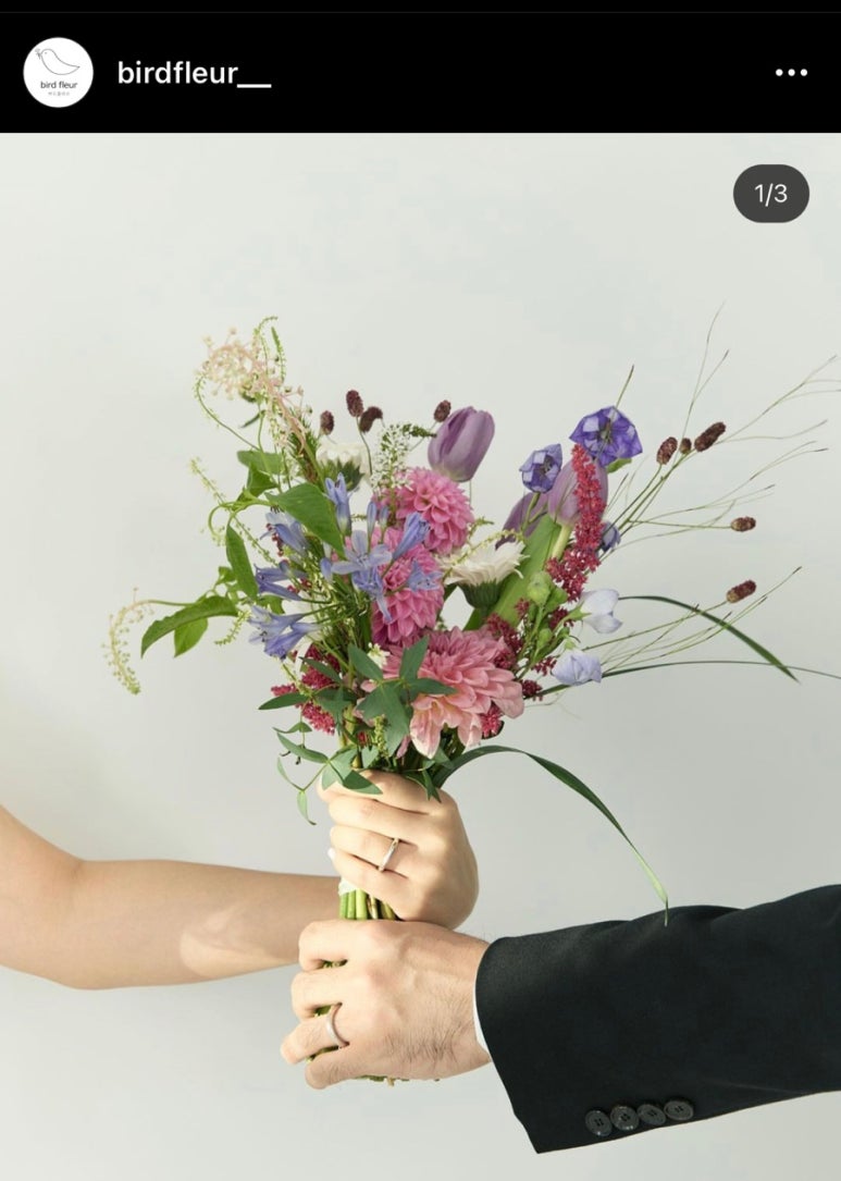 버드플레르 이미지