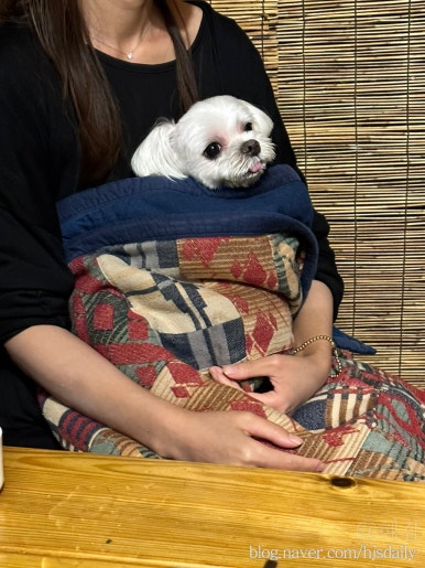 문경한옥펜션 이미지