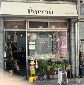 파쳄플라워 이미지