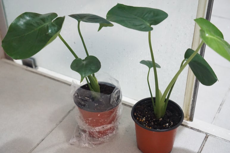 신영플라스틱 이미지