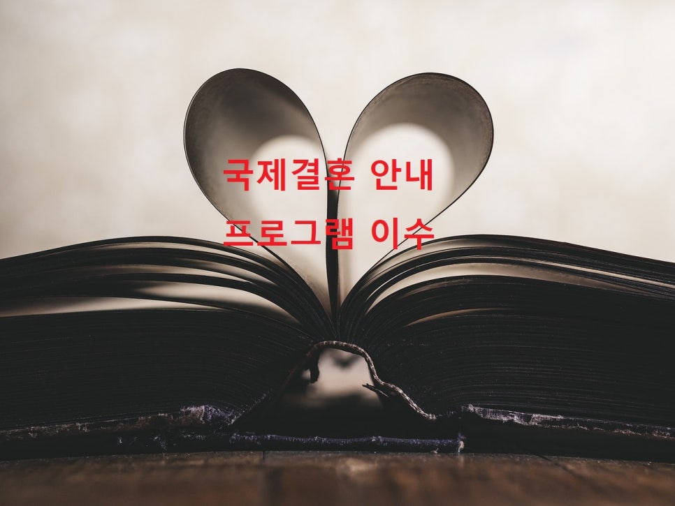 세종행정사 이미지