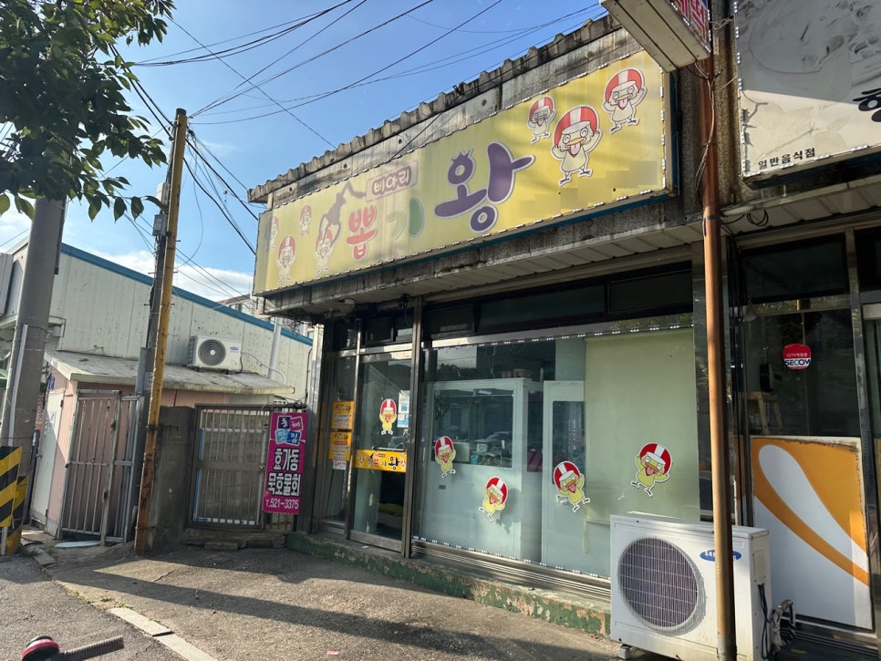 삐아리뽑기왕 이미지
