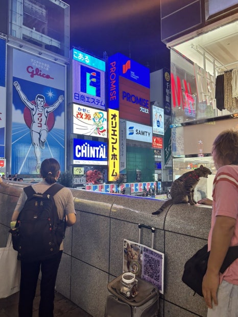 오CAR 이미지