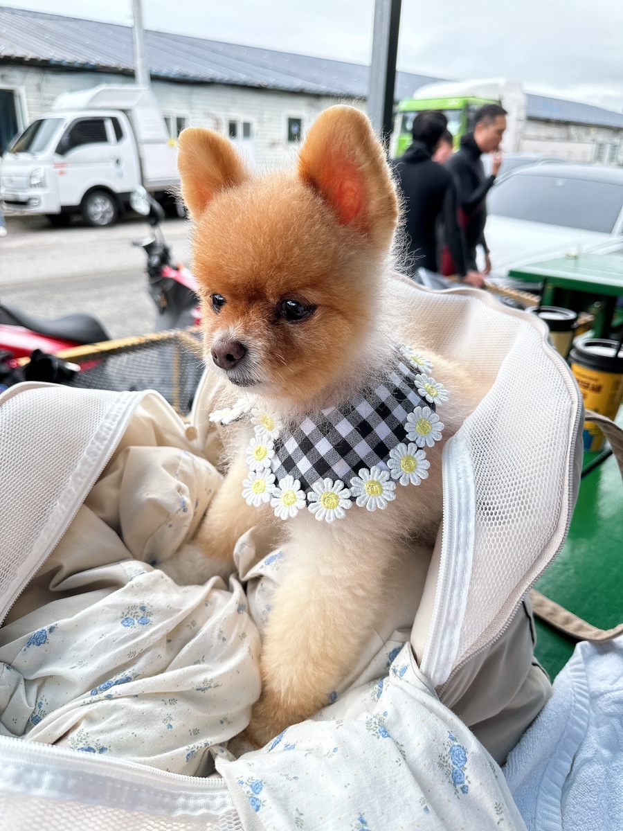 해원다이브리조트 이미지