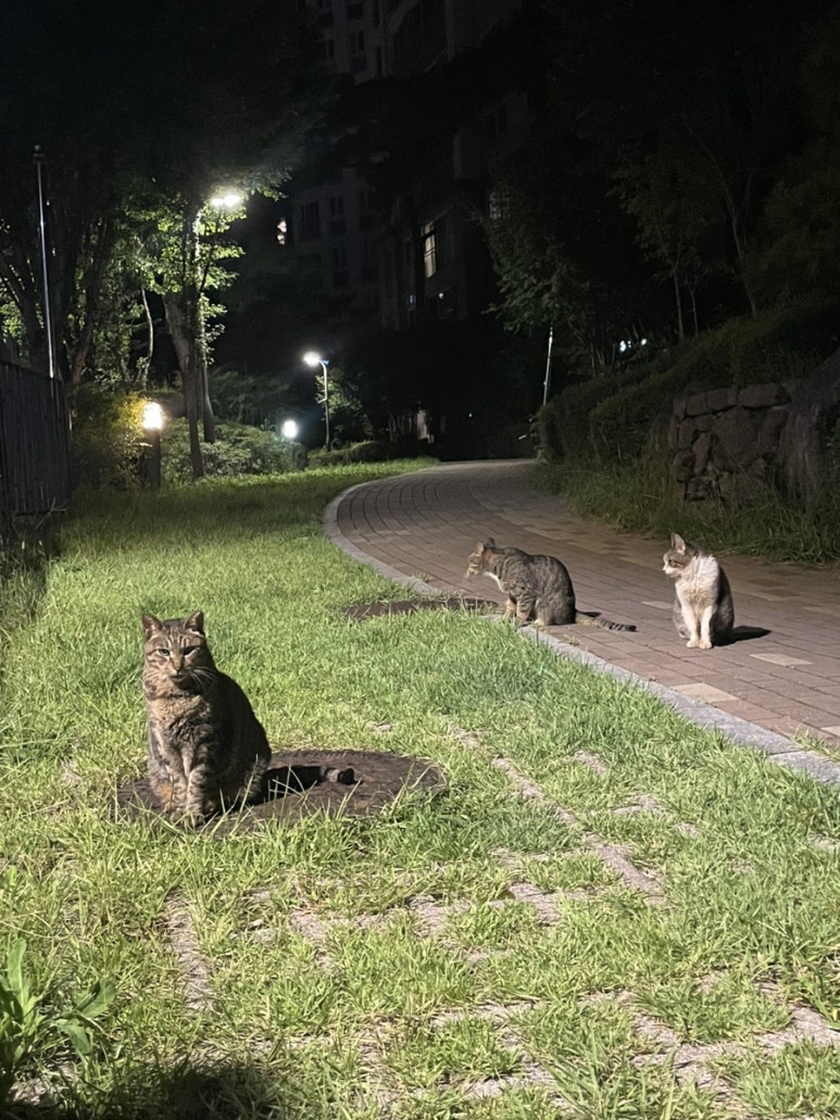 수빈민박 이미지