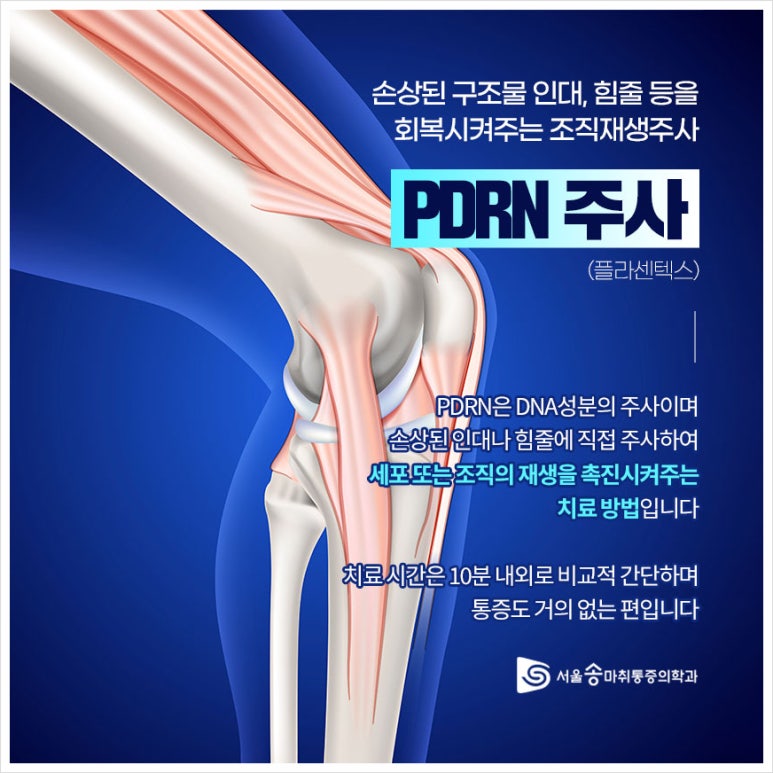 송마취통증의학과의원 이미지