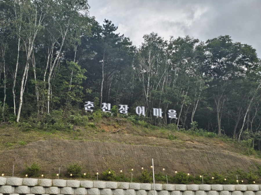 춘천장어마을 이미지