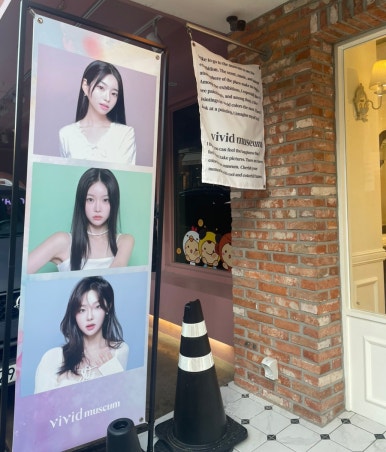 비비드뮤지엄 이미지