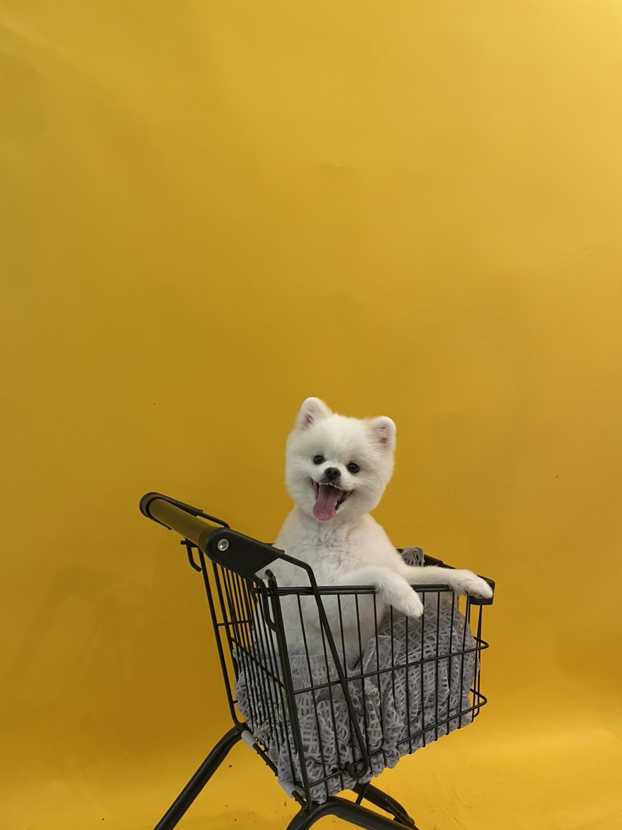 호반카페분식 이미지