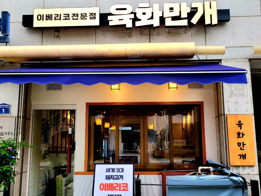 육화만개 이미지