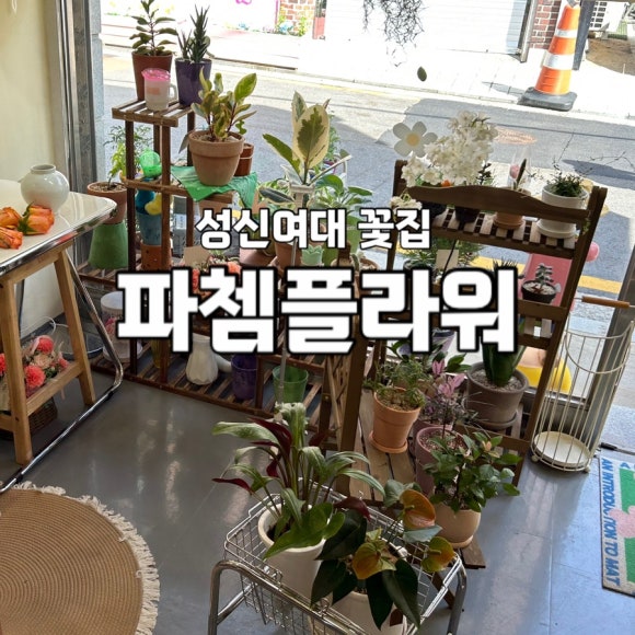 파쳄플라워 이미지