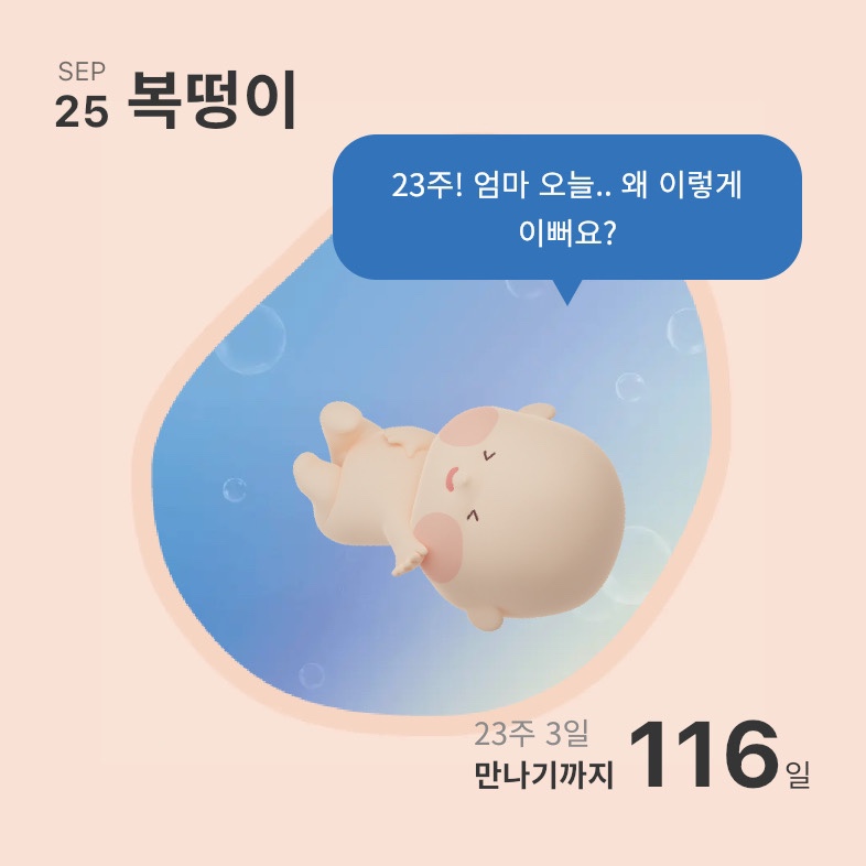 얼큰이닭발 이미지