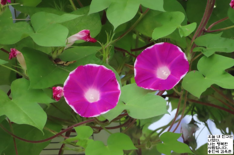 (주)이슬환경 이미지