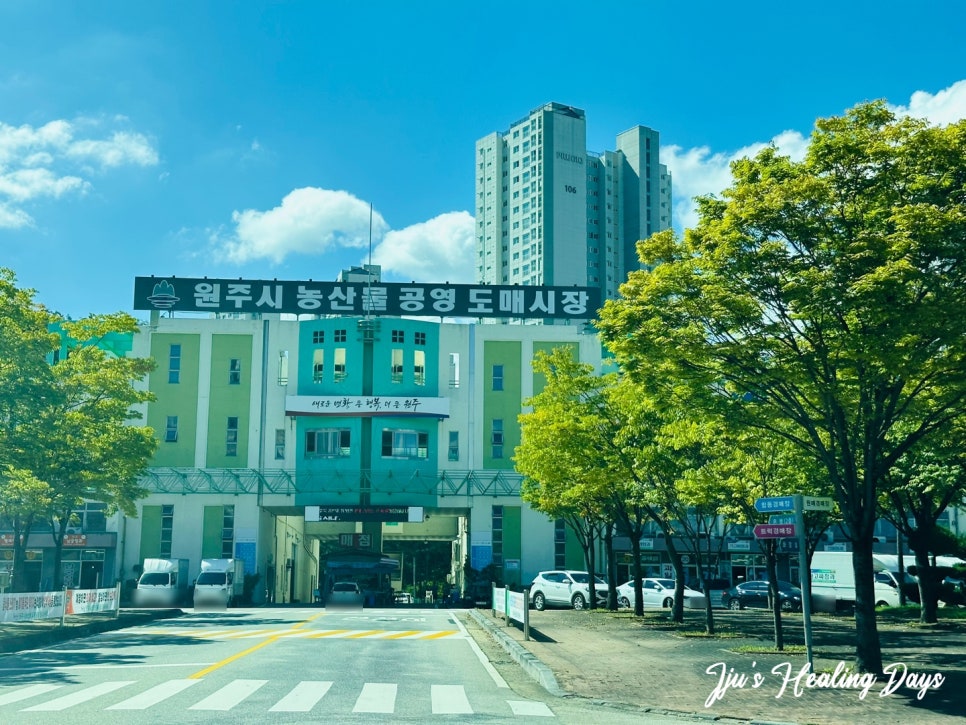 천일청과 이미지