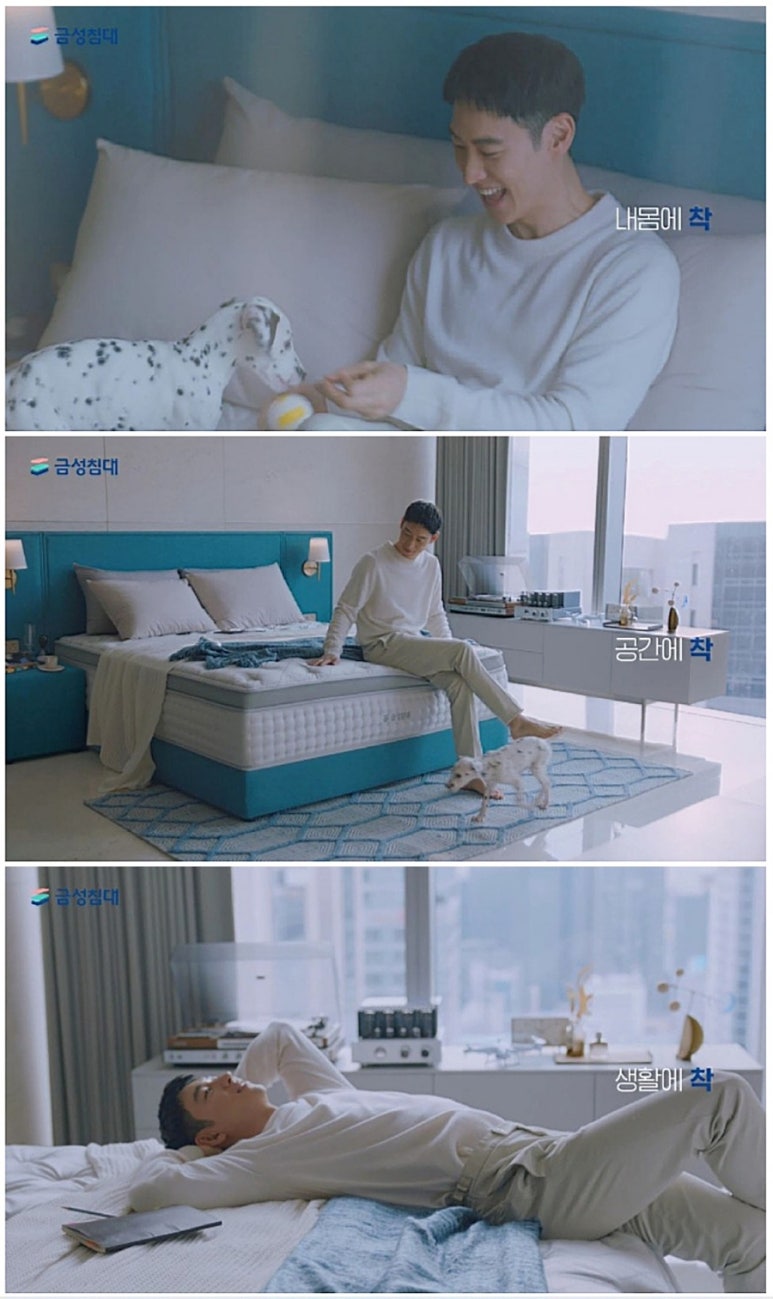 금성침대춘천엔타 이미지