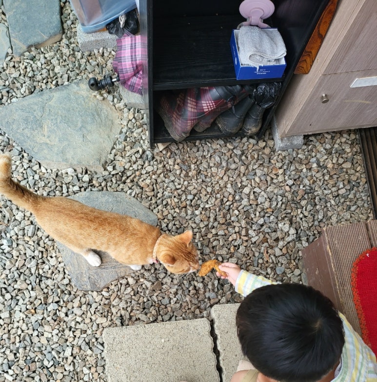 뜨럭 이미지