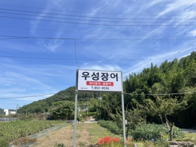 우성장어 이미지