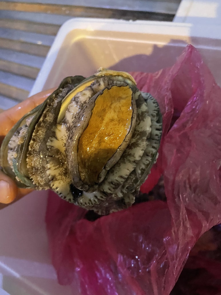 공주청과 이미지