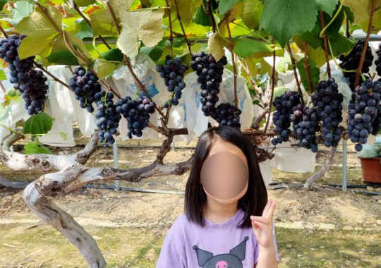 쏠티 어린이집 이미지