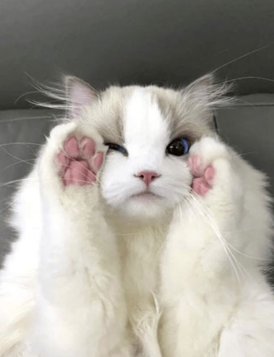 네일공주 이미지