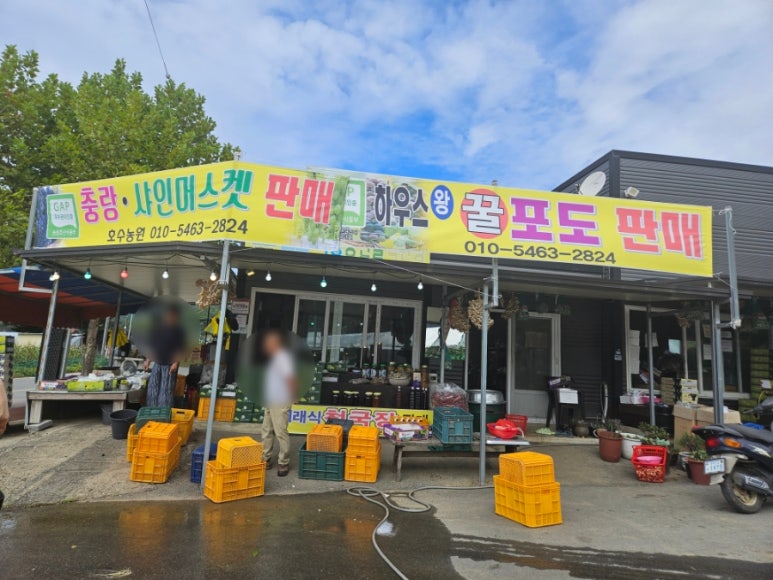 서원미트 이미지