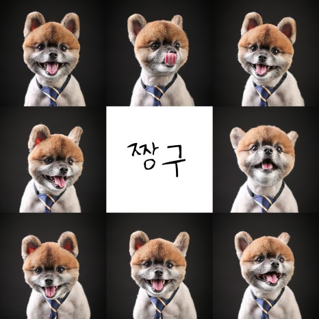 스튜디오오즈 이미지