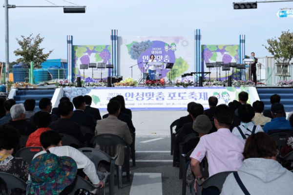 농산물포도판매 이미지