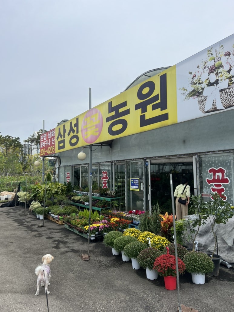 수원꽃농원 이미지