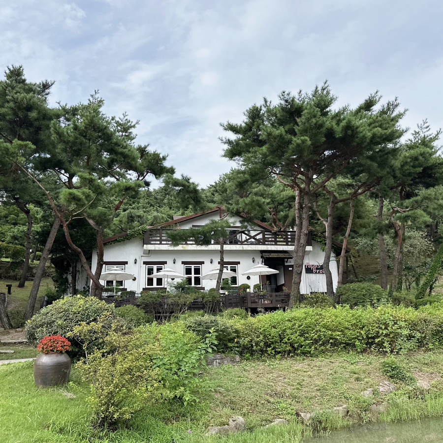 파파스브로트 이미지