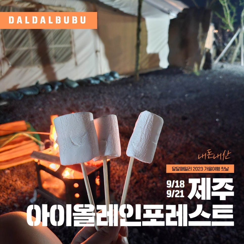 아이올레인포레스트캠핑 이미지