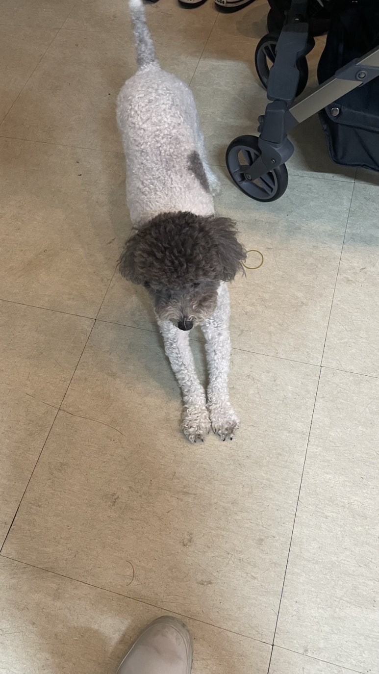 고래수산 이미지