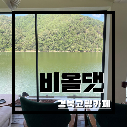 비올댓 이미지