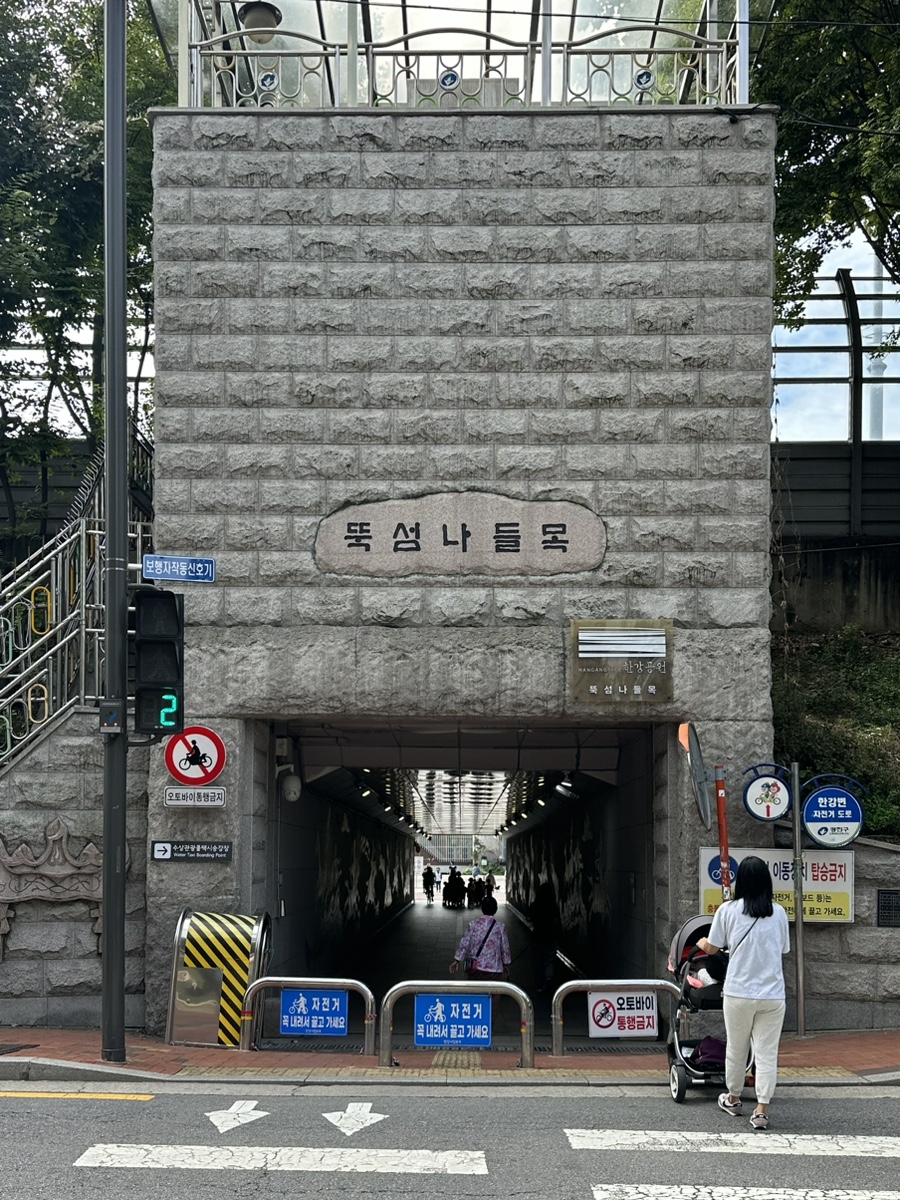 샐리앤리키 이미지