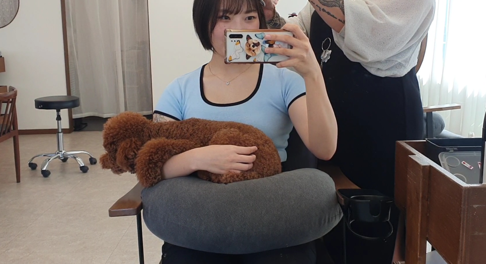 모모브릿지 이미지