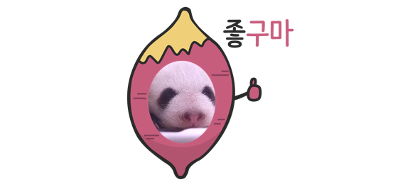 북스타문고 이미지