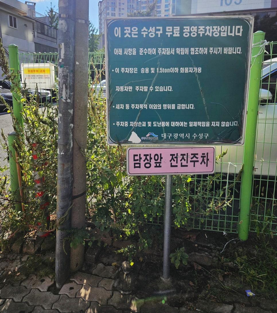 팜스픽 이미지